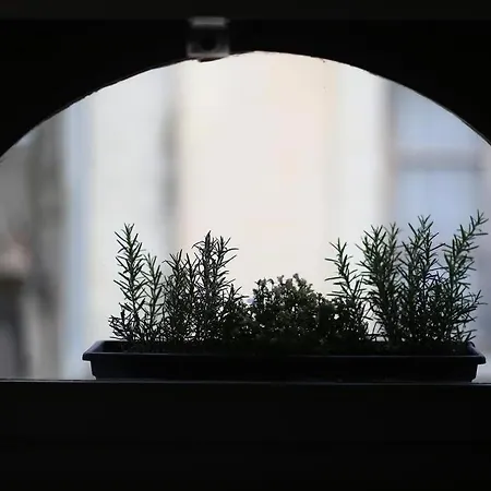 Lejlighed Le Relais De La Maison Bacou